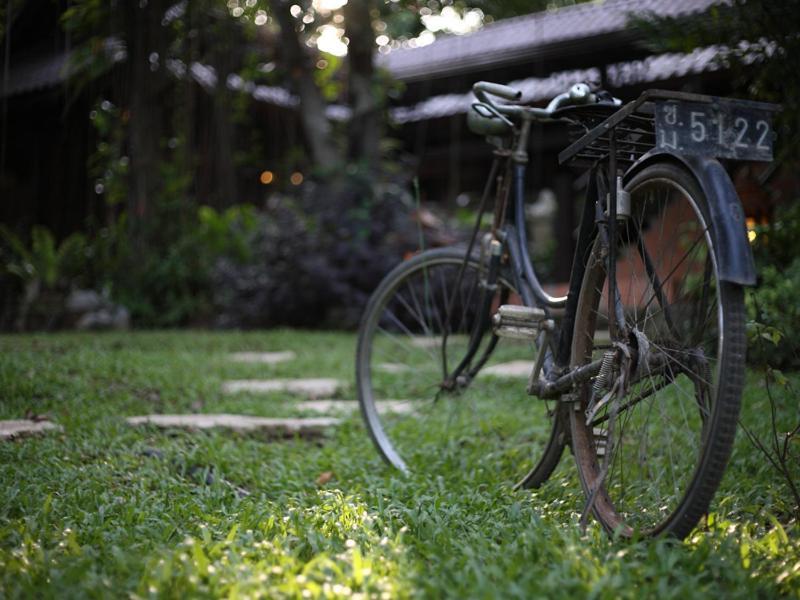 Viva Chiang Mai Nature Home Stay Extérieur photo